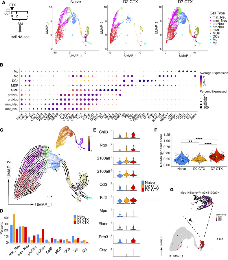scRNA-seq analysis reveals the dynamic changes in immune composition in ...