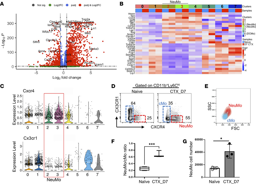 Identification of cell surface markers suitable for enrichment of CTX-in...