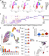 scRNA-seq analysis reveals the dynamic changes in immune composition in the
