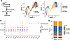 scRNA-seq analysis of pre-enriched monocytes (CD11b+Ly6Chi) identifies dist
