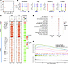 ATAC-seq analysis reveals chemotherapy-induced epigenetic changes in monocy