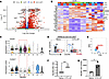 Identification of cell surface markers suitable for enrichment of CTX-induc