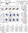 CTX-induced NeuMo cells possess the ability to suppress T cell activation.