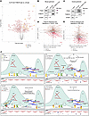 Integration of the THSD7A interactome with glomerular proteome dynamics and