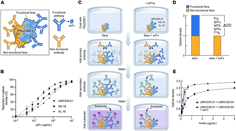 P230Compete platform measures antibody displacement from Pfs230D1 functi...