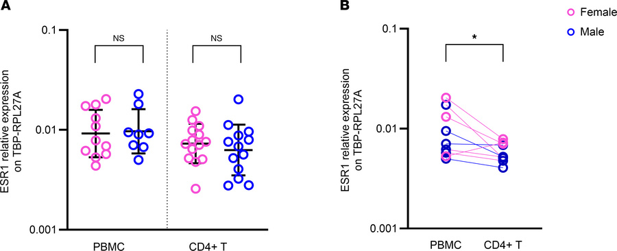 
ESR1 mRNA expression in male and female.
(A) ESR1 mRNA baseline express...