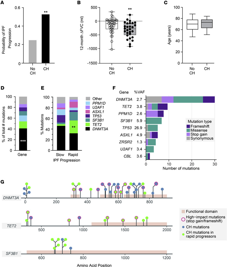 CH mutations are associated with IPF progression and loss of lung functi...