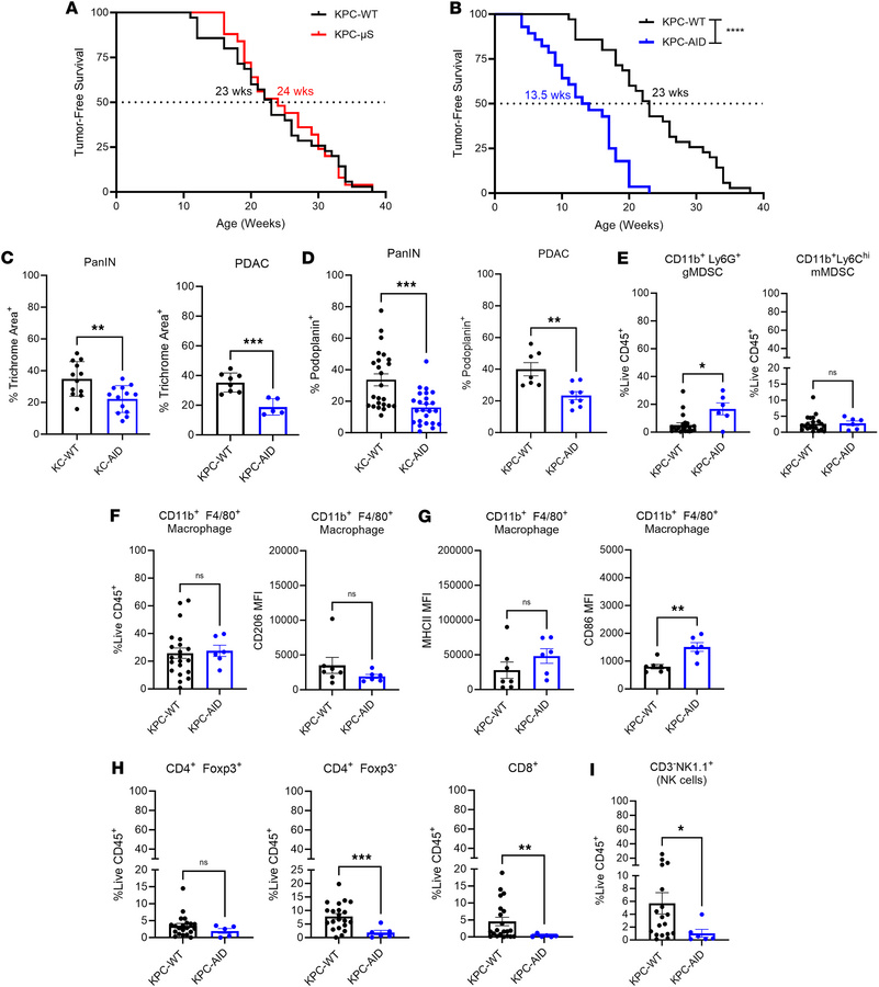 Class-switched antibody (IgA, IgE, IgG) deficiency accelerates pancreati...