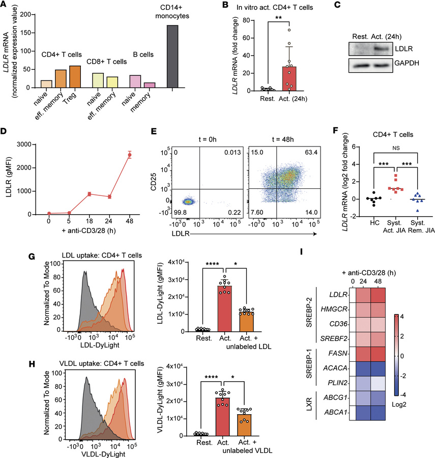 Activated CD4+ T cells upregulate LDLR expression and lipoprotein metabo...