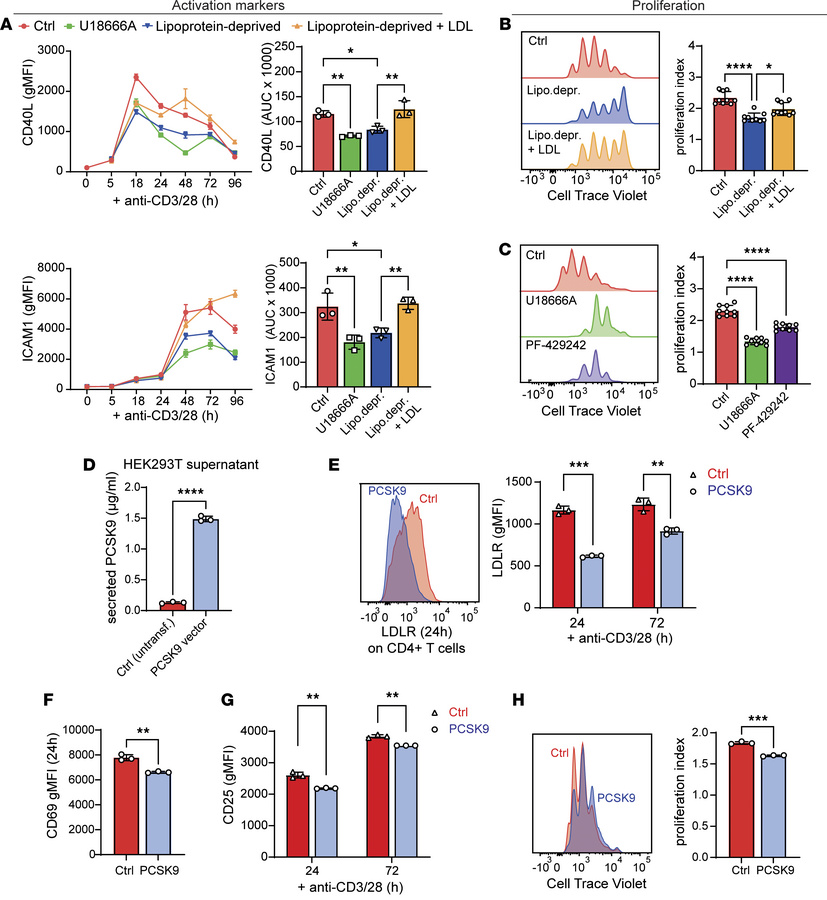 LDLR-mediated lipoprotein uptake by CD4+ T cell fuels their activation a...