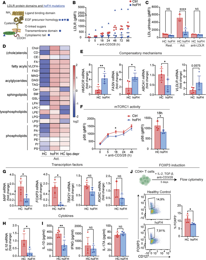 CD4+ T cells from patients with hoFH confirm a role of LDLR signaling fo...