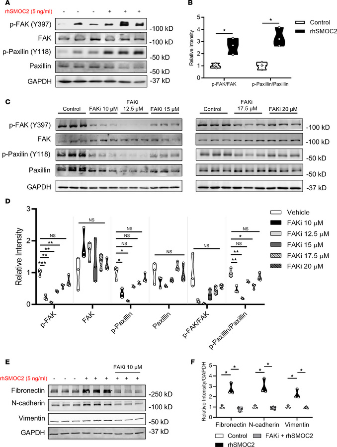 SMOC2 activates integrin signaling to stimulate the pEMT properties of t...