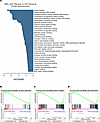 Smoc2-transgenic mice dysregulated pathways involved in pEMT after kidney i