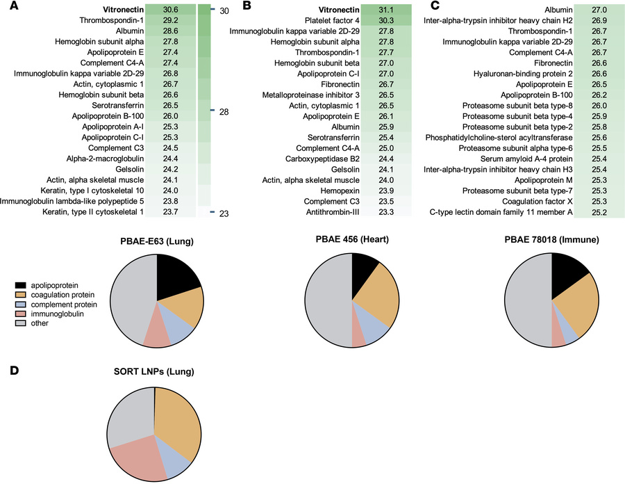 Mass spectrometry proteomics data detailing PBAE nanoparticle protein co...