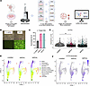 Single-cell transcriptome atlas of primary HNE cells from a CF donor bearin