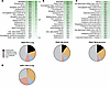 Mass spectrometry proteomics data detailing PBAE nanoparticle protein coron