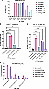 Protein-coated nanoparticle transfection with PBAE-E63, β2-glycoprotein I,