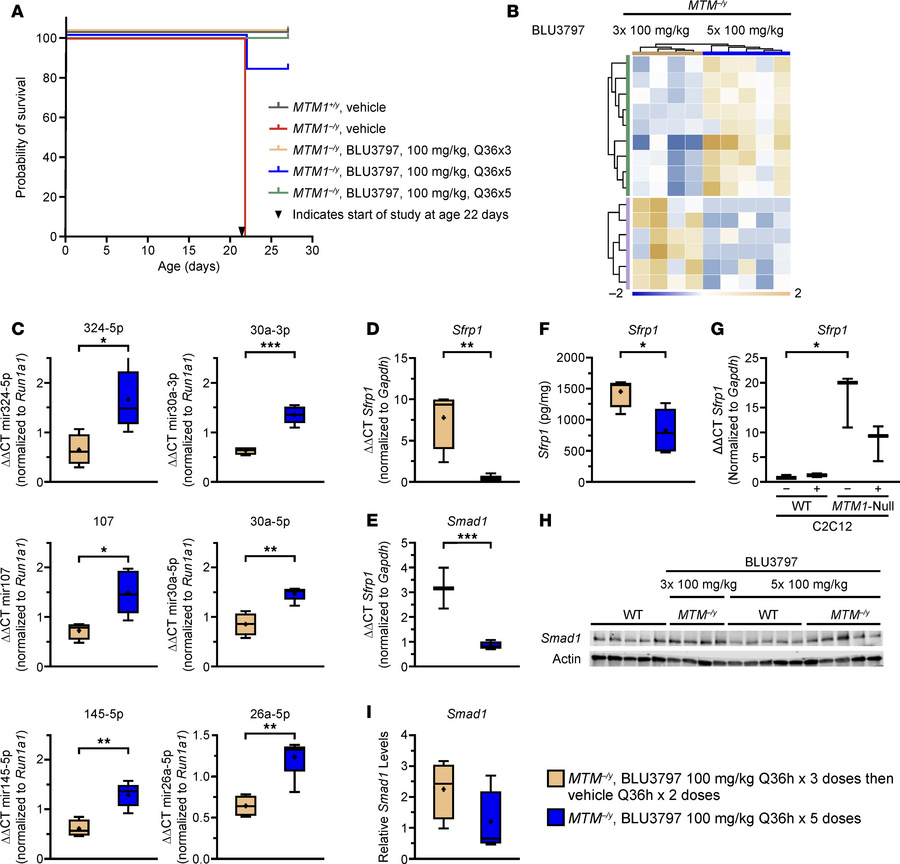 PIK3C2B inhibition alters miRNA expression and decreases muscle SFRP1 pr...