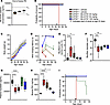 BLU3797 extends the lifespan of MTM1–/y male mice, reinstates muscle functi