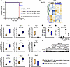 PIK3C2B inhibition alters miRNA expression and decreases muscle SFRP1 prote