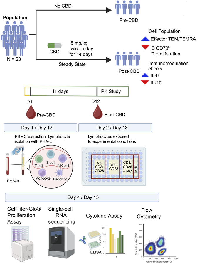 Operational workflow.
The workflow is provided for the pharmacokinetic s...