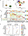 Molecular characterization of lymphocytes.