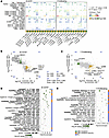 B CD70hi and proliferating T cell types.