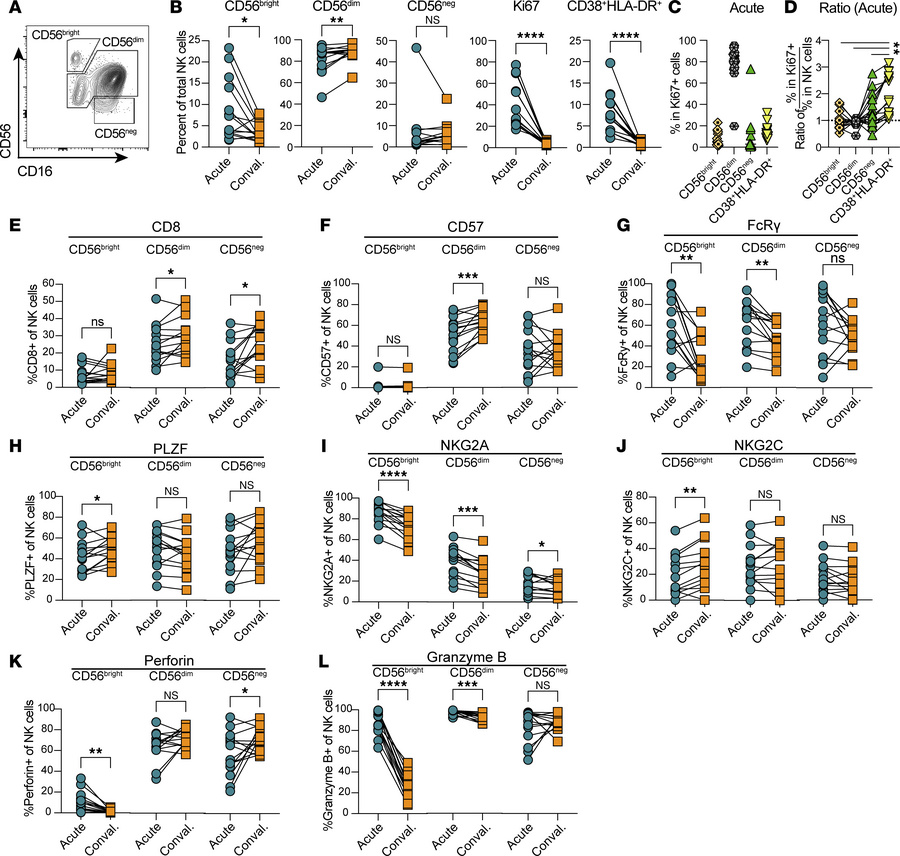 NK cell dynamics and protein expression during and after acute malaria.
...