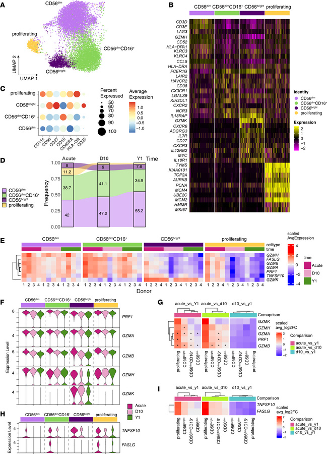 NK cells during acute malaria have increased expression of perforin and ...