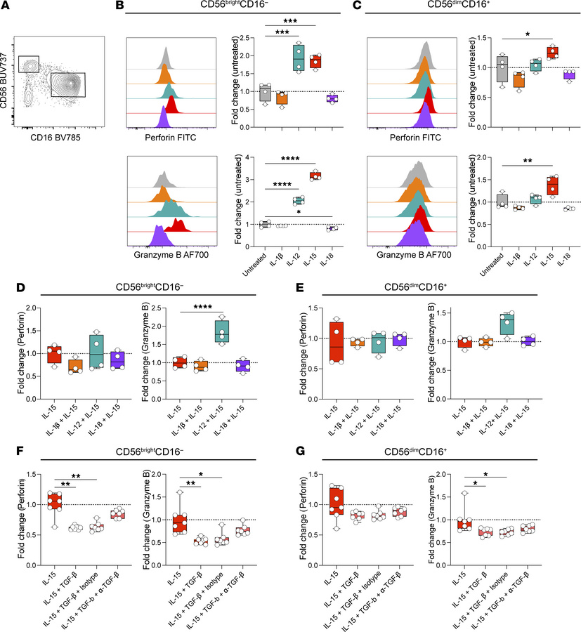 In vitro cytokine stimulation of isolated NK cells from healthy PBMC.
(A...