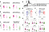 Temporal modulation of NK cell–associated immune regulatory pathways.