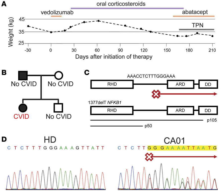 Severe and refractory GI disease in a patient with CVID with heterozygou...