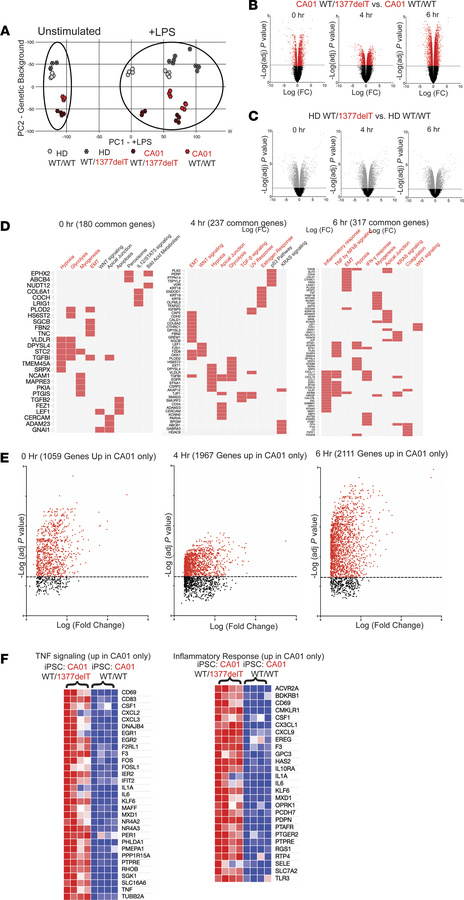 Inflammatory pathway gene expression changes due to 1377delT NFKB1 varia...