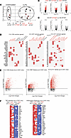 Inflammatory pathway gene expression changes due to 1377delT NFKB1 variant