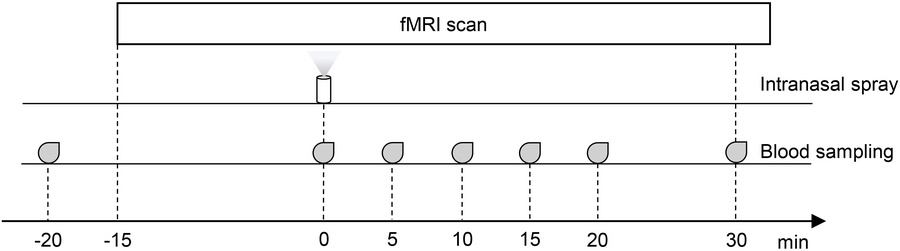 Timeline of the functional MRI protocol.
Continuous BOLD fMRI scanning w...
