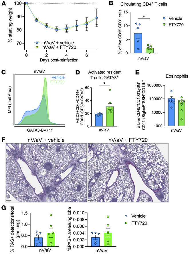Lung-resident cells are sufficient to cause asthma-like pathology after ...