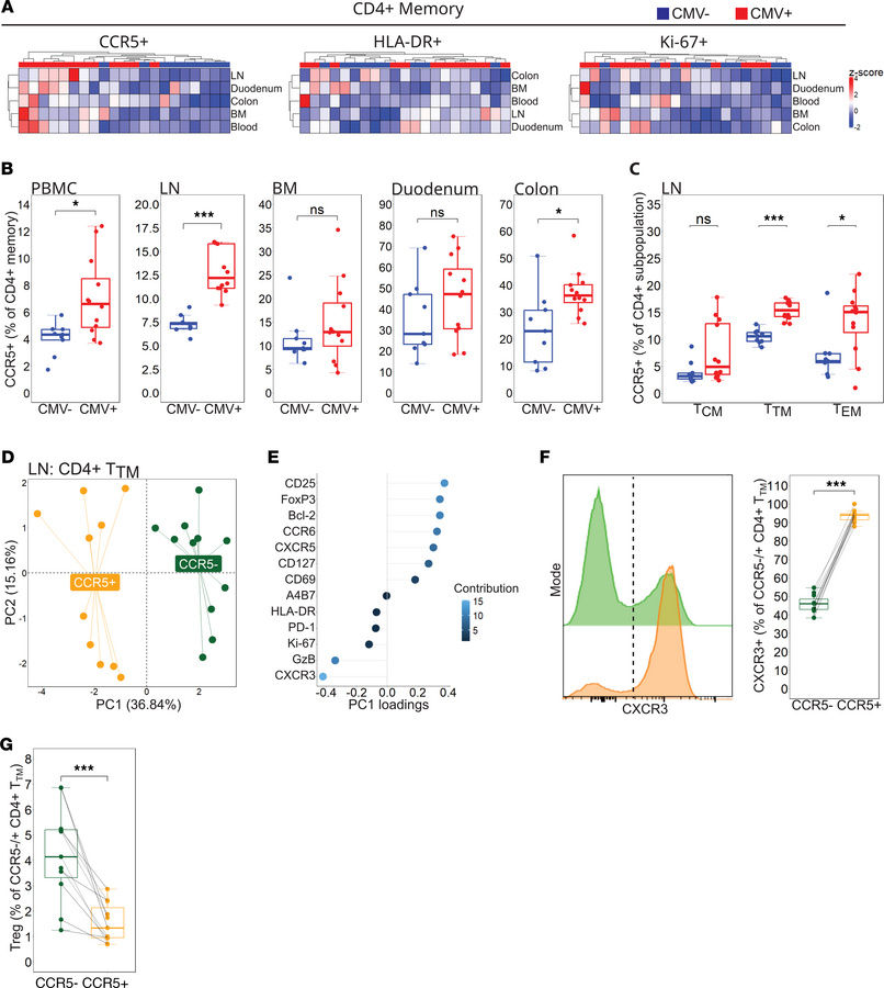 RhCMV infection is associated with increased CCR5 expression and phenoty...