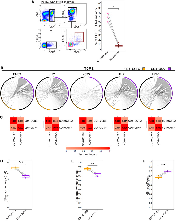 CD4+CCR5+ T cells exhibit high clonal diversity and limited overlap with...