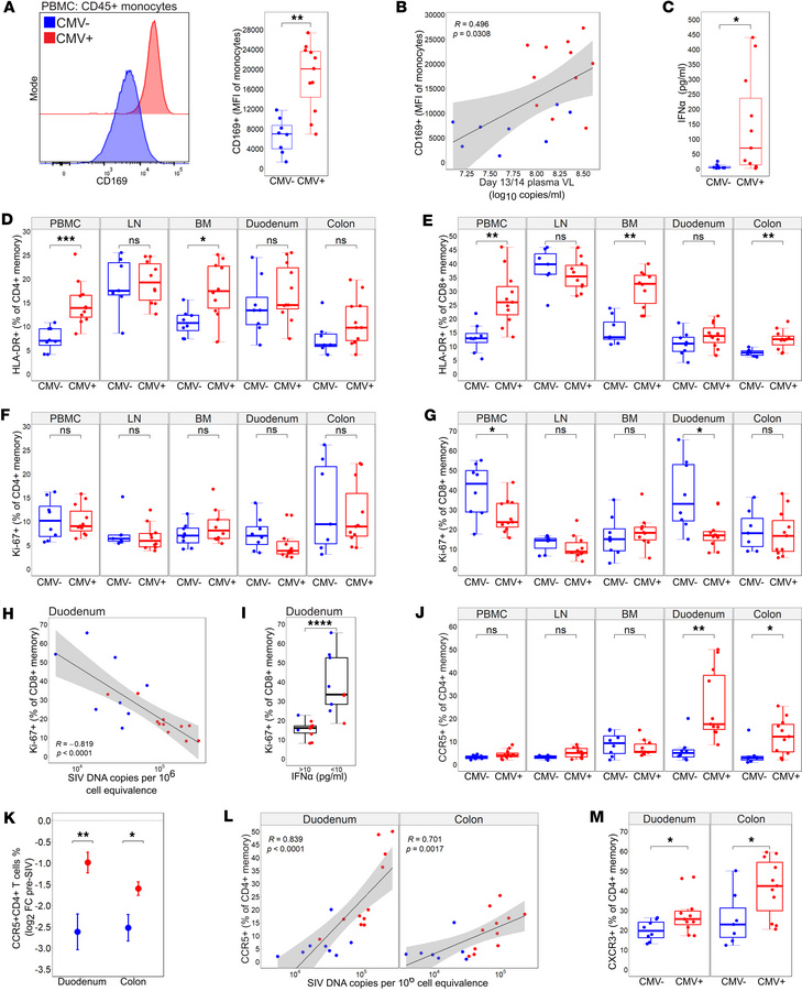 RhCMV serostatus during SIV infection is associated with heightened mono...