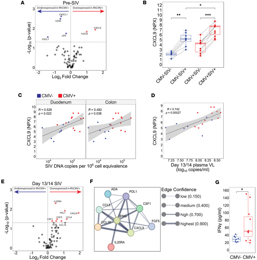 RhCMV serostatus modulates IFN-γ–associated chemokine signatures correla...