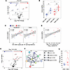 RhCMV serostatus modulates IFN-γ–associated chemokine signatures correlatin
