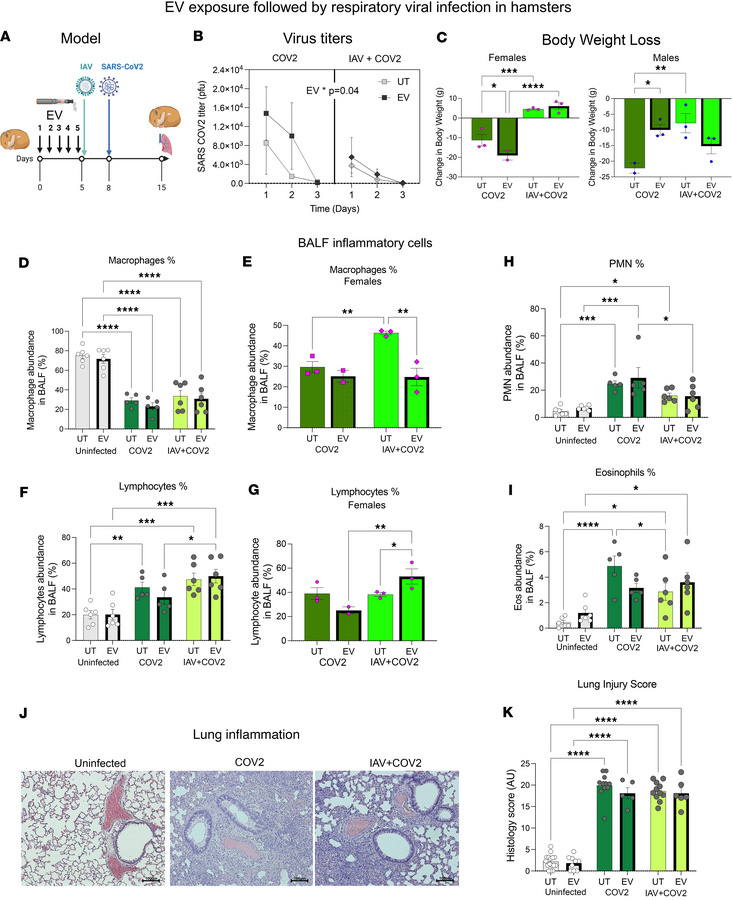 Effects of brief prior EV exposure on inflammatory responses to respirat...