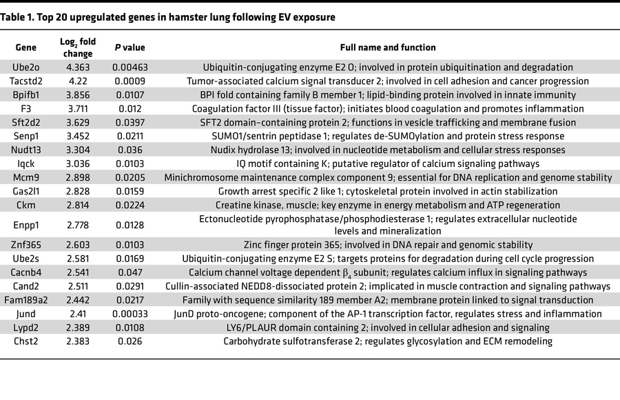 Top 20 upregulated genes in hamster lung following EV exposure