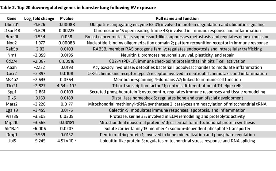 Top 20 downregulated genes in hamster lung following EV exposure