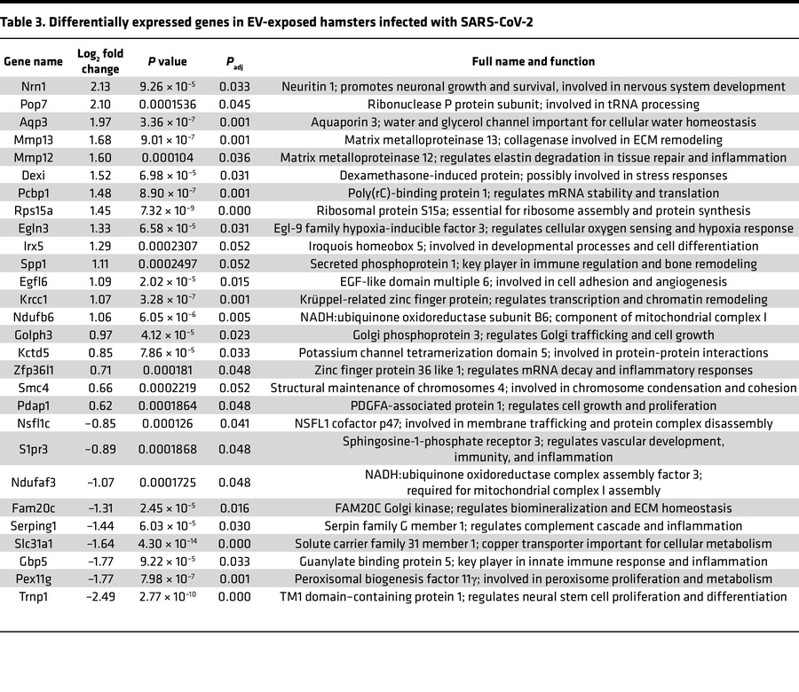 Differentially expressed genes in EV-exposed hamsters infected with SARS...