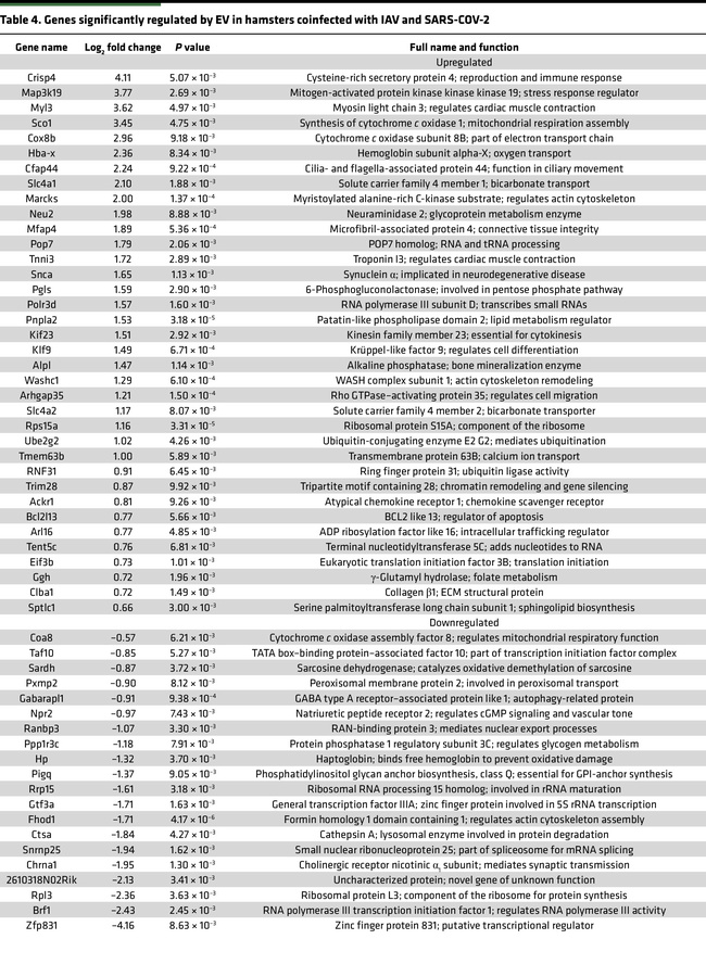 Genes significantly regulated by EV in hamsters coinfected with IAV and ...