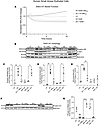 Role of JNK in EV-induced human lung small airway epithelial autophagy.
