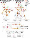 Interactivity map of JNK signaling induced by brief distant EV exposure in