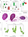 FLAD1 variants lead to adrenal insufficiency and hypoglycemia.