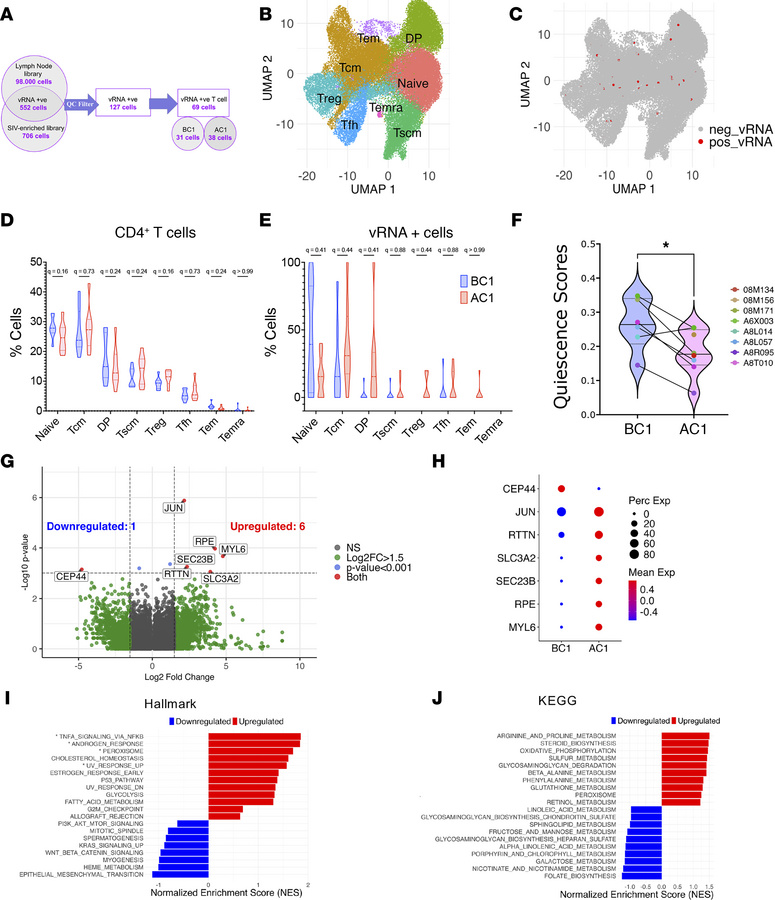 Lymph node cells transcribing SIV on ART display a higher metabolic sign...